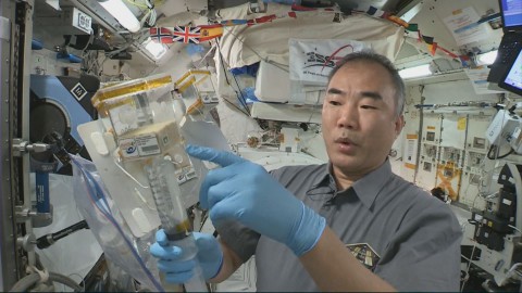 AHiS 2021 – The setup of the plant growth chamber on the ISS