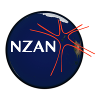nzan_logo_color_web